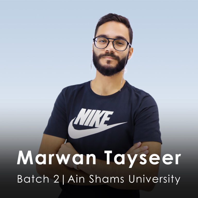 Marwan Tayseer copy